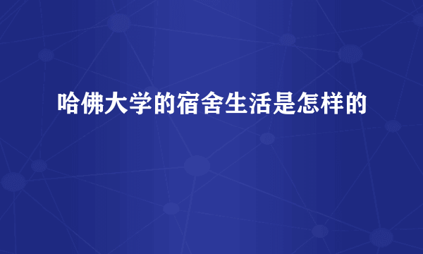 哈佛大学的宿舍生活是怎样的