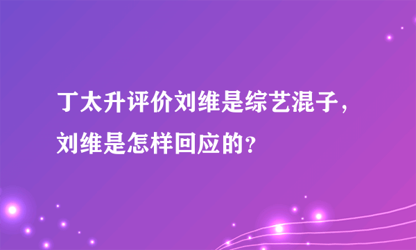 丁太升评价刘维是综艺混子，刘维是怎样回应的？