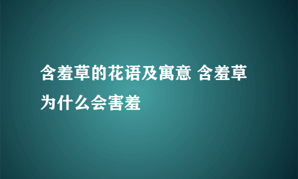 含羞草的花语及寓意 含羞草为什么会害羞