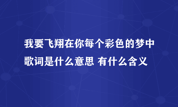 我要飞翔在你每个彩色的梦中歌词是什么意思 有什么含义