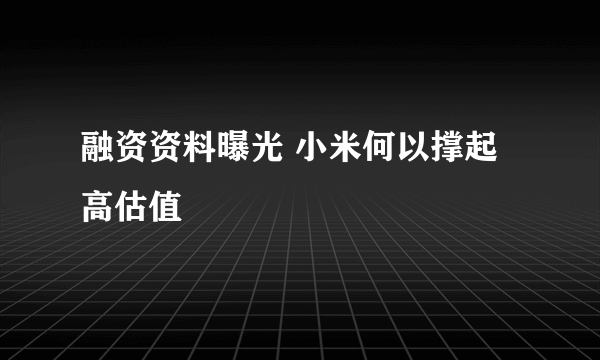 融资资料曝光 小米何以撑起高估值