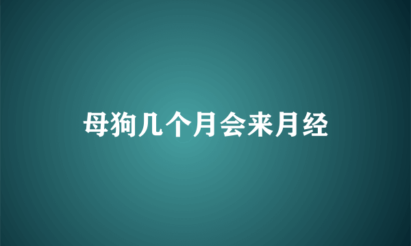 母狗几个月会来月经