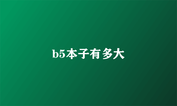 b5本子有多大