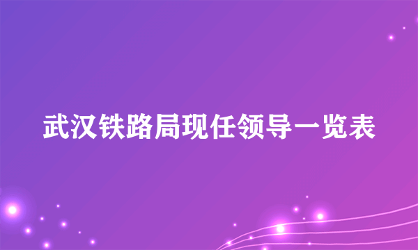 武汉铁路局现任领导一览表