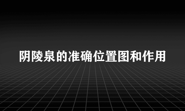 阴陵泉的准确位置图和作用