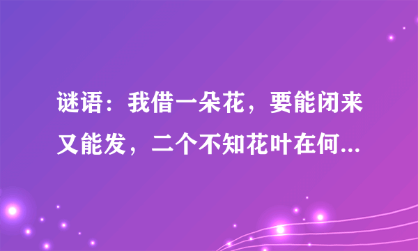 谜语：我借一朵花，要能闭来又能发，二个不知花叶在何方，却知花根手中拿。谜语：我去拿座亭，没安窗和门，水在亭上流，人在亭下行。求谜底，第一个谜底出自李清照的朋友，第二个出自李清照。