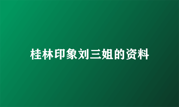 桂林印象刘三姐的资料