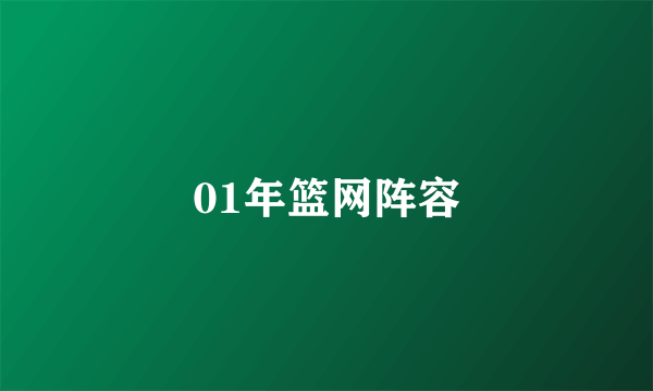 01年篮网阵容