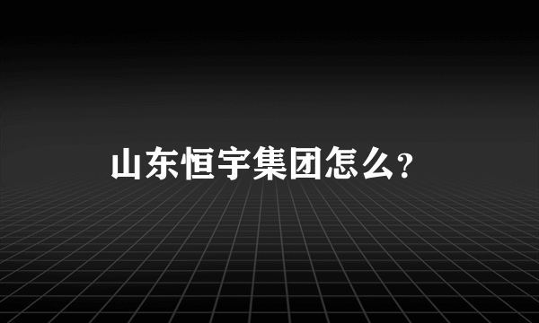 山东恒宇集团怎么？