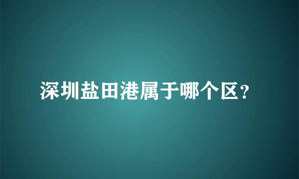 深圳盐田港属于哪个区？