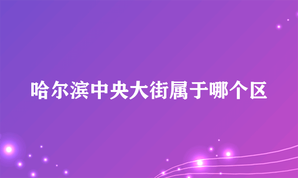 哈尔滨中央大街属于哪个区