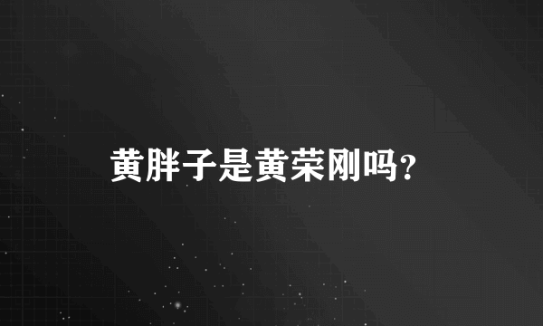 黄胖子是黄荣刚吗？