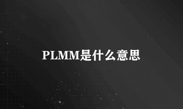 PLMM是什么意思