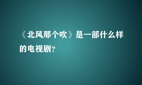 《北风那个吹》是一部什么样的电视剧？