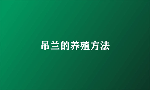 吊兰的养殖方法