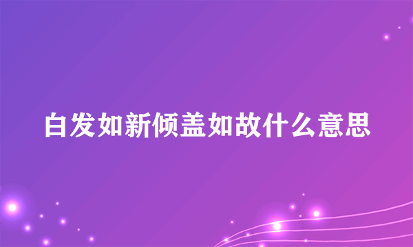 白发如新倾盖如故什么意思