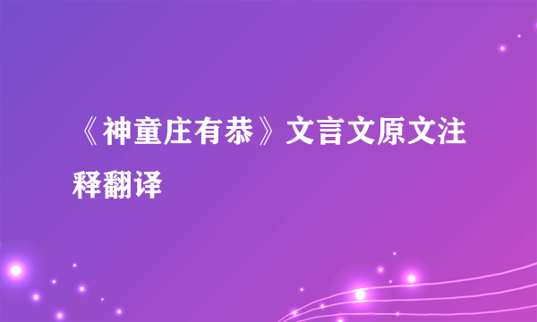 《神童庄有恭》文言文原文注释翻译