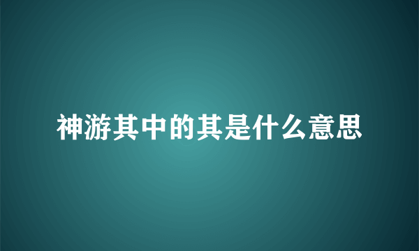 神游其中的其是什么意思