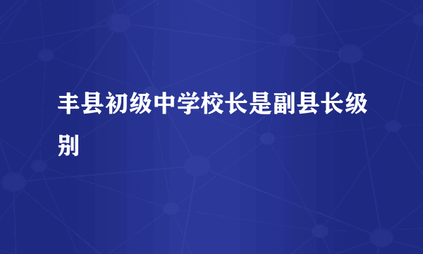 丰县初级中学校长是副县长级别