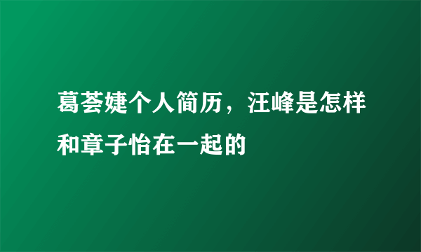 葛荟婕个人简历，汪峰是怎样和章子怡在一起的