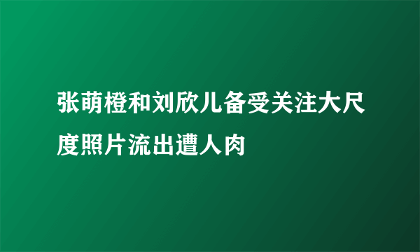 张萌橙和刘欣儿备受关注大尺度照片流出遭人肉