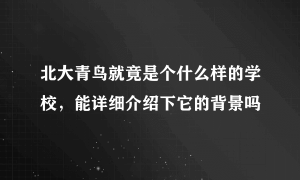 北大青鸟就竟是个什么样的学校，能详细介绍下它的背景吗