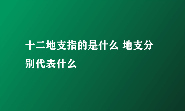 十二地支指的是什么 地支分别代表什么