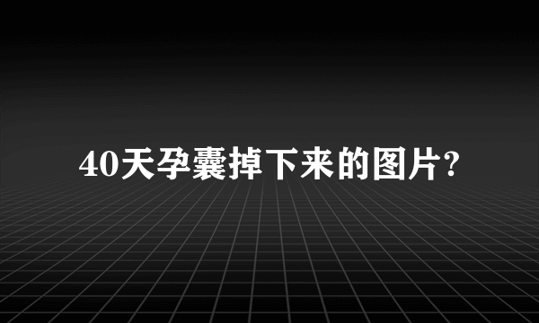 40天孕囊掉下来的图片?