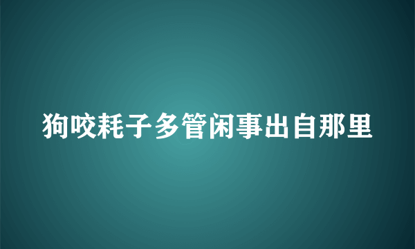 狗咬耗子多管闲事出自那里