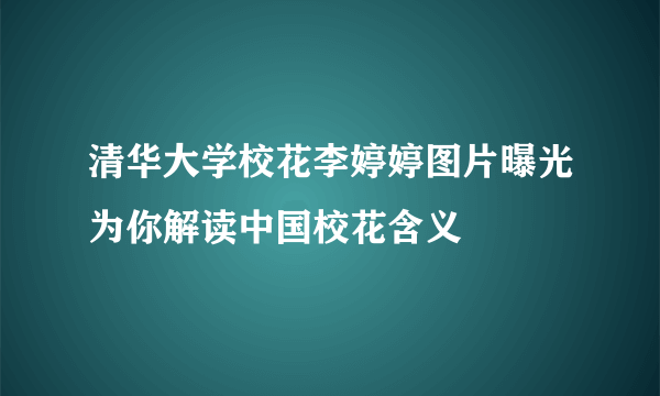 清华大学校花李婷婷图片曝光为你解读中国校花含义