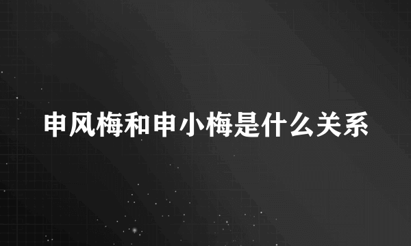 申风梅和申小梅是什么关系