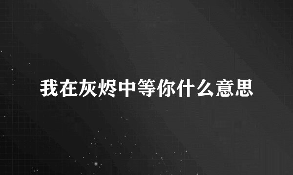 我在灰烬中等你什么意思