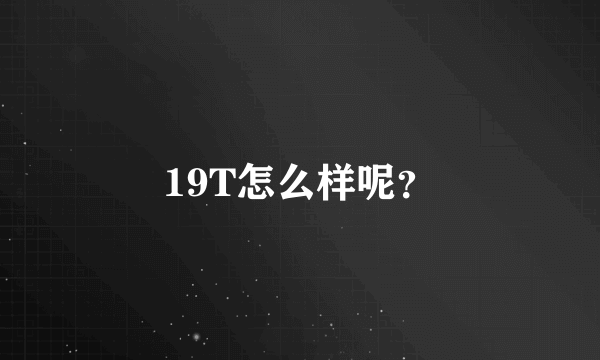 19T怎么样呢？