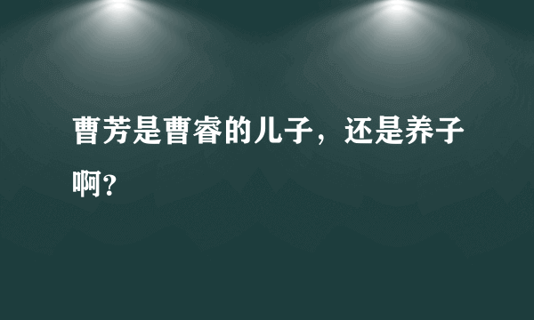 曹芳是曹睿的儿子，还是养子啊？