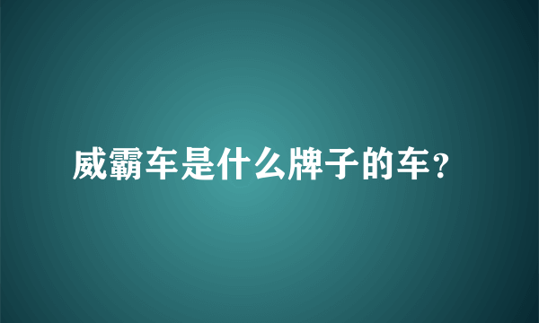 威霸车是什么牌子的车？