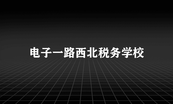 电子一路西北税务学校