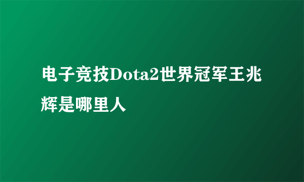 电子竞技Dota2世界冠军王兆辉是哪里人