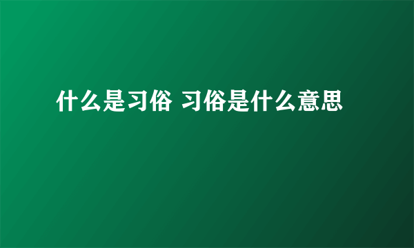 什么是习俗 习俗是什么意思