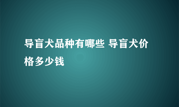 导盲犬品种有哪些 导盲犬价格多少钱