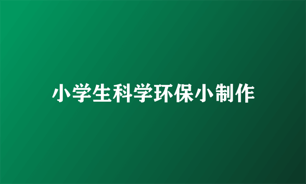 小学生科学环保小制作