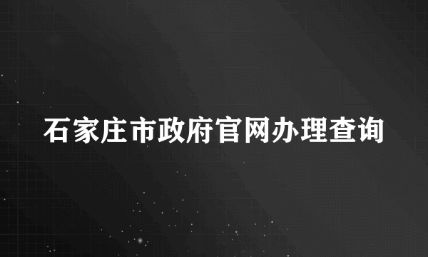 石家庄市政府官网办理查询