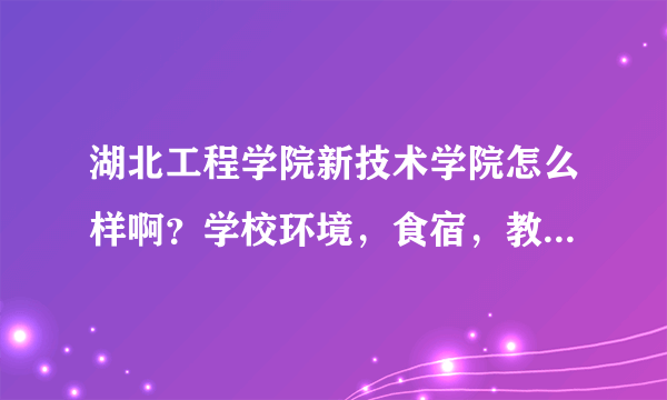 湖北工程学院新技术学院怎么样啊？学校环境，食宿，教学情况，还有学校哪个专业最好啊