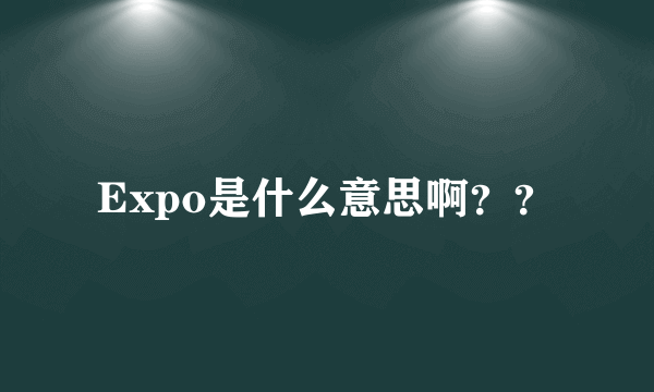 Expo是什么意思啊？？