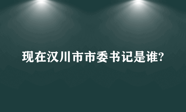 现在汉川市市委书记是谁?