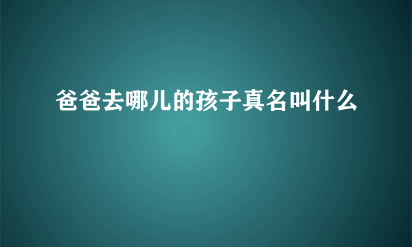 爸爸去哪儿的孩子真名叫什么