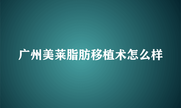 广州美莱脂肪移植术怎么样