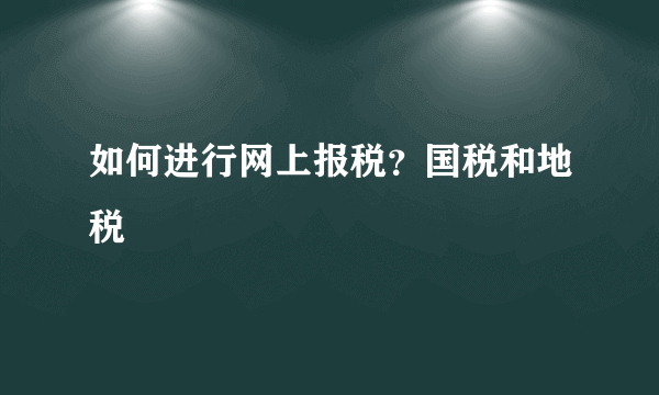 如何进行网上报税？国税和地税