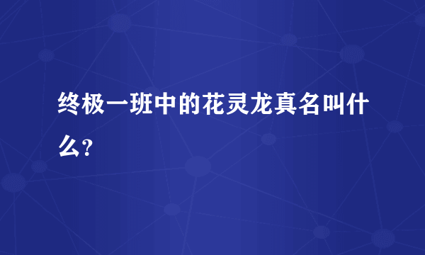 终极一班中的花灵龙真名叫什么？