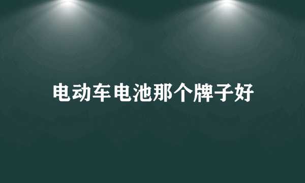 电动车电池那个牌子好