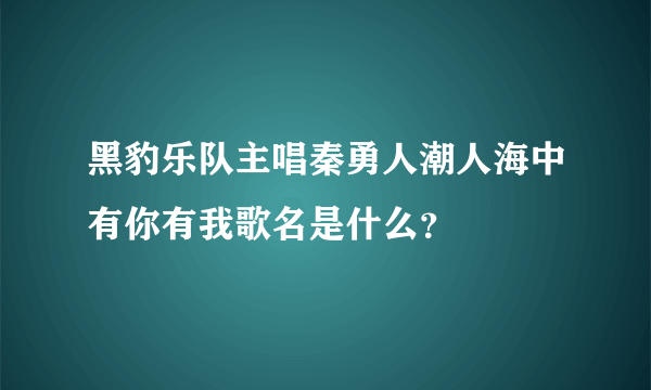 黑豹乐队主唱秦勇人潮人海中有你有我歌名是什么？